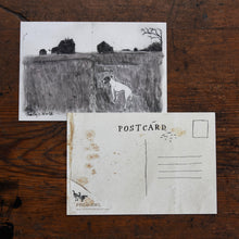 4 Postcards: Pearly’s World