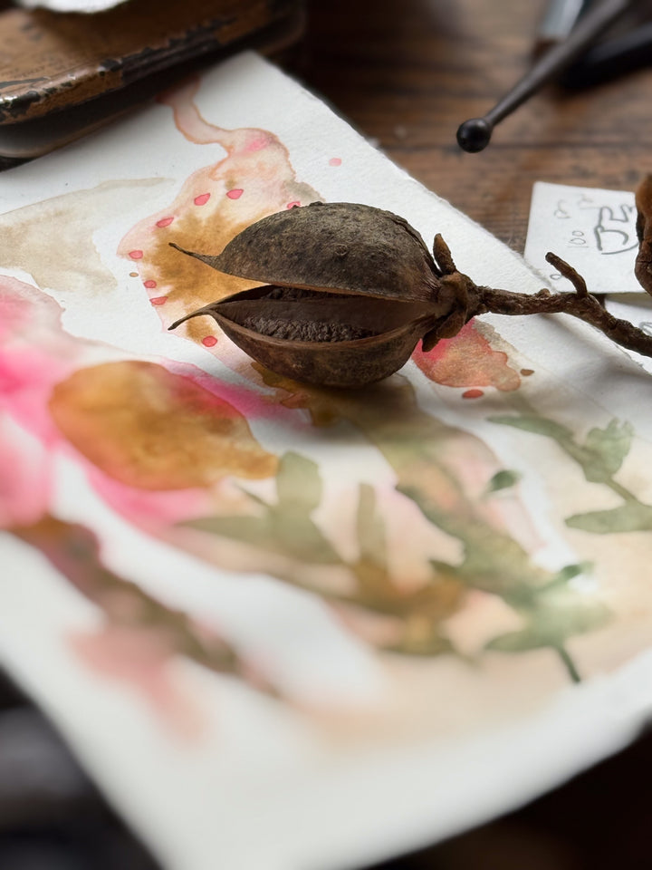 Bookbinding and Story Finding Workshop at Highlights, Pennsylvania