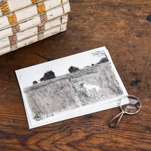 4 Postcards: Pearly’s World