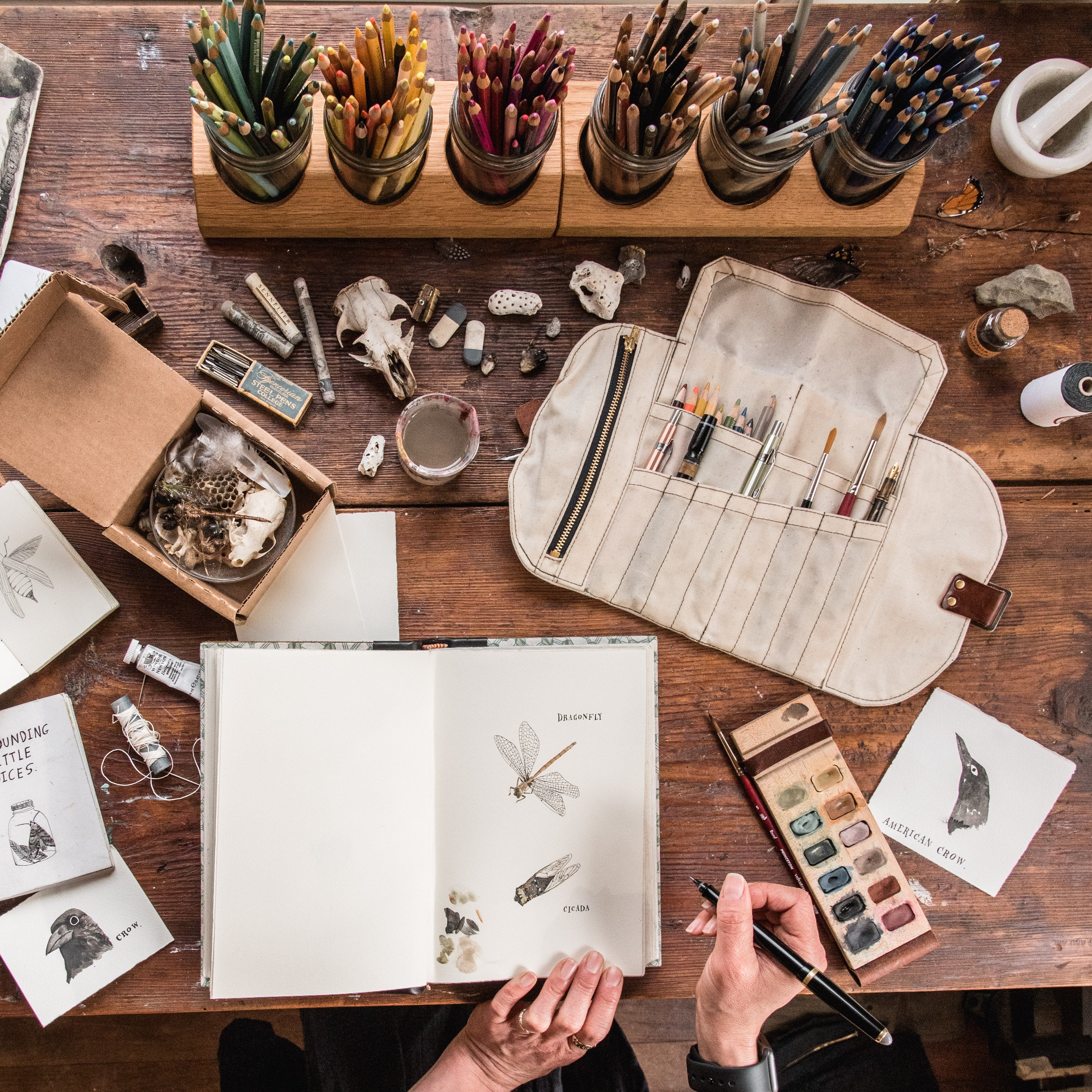The Sendak Mini Artist Roll