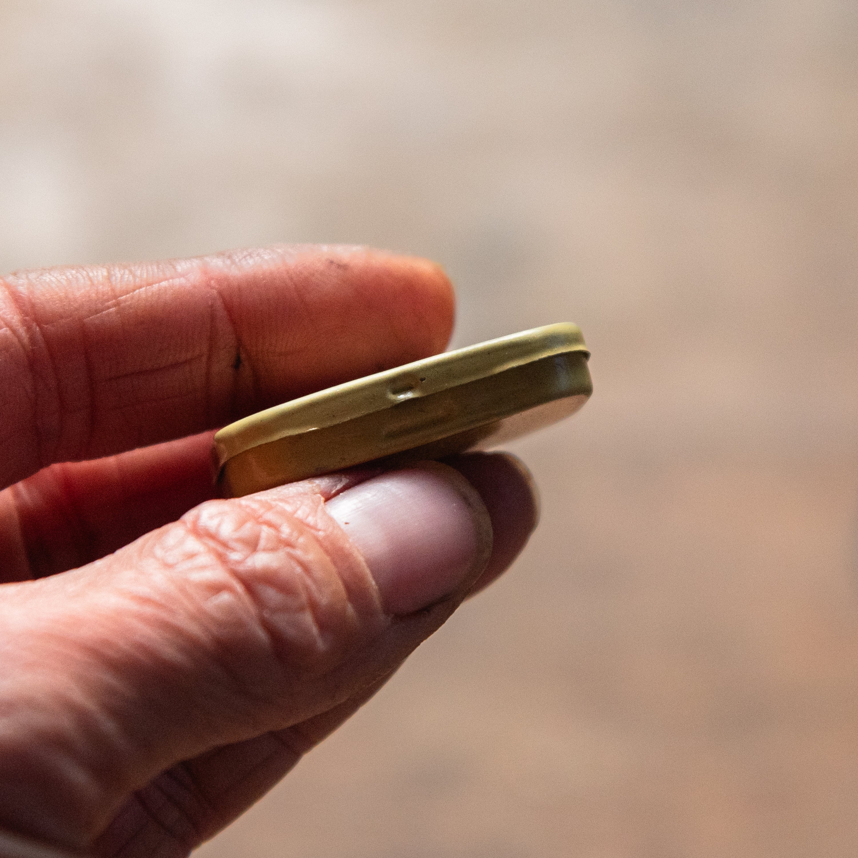 Willow Alternative Sketchbooks