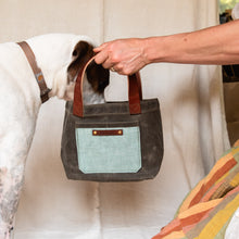 /color-veronese green