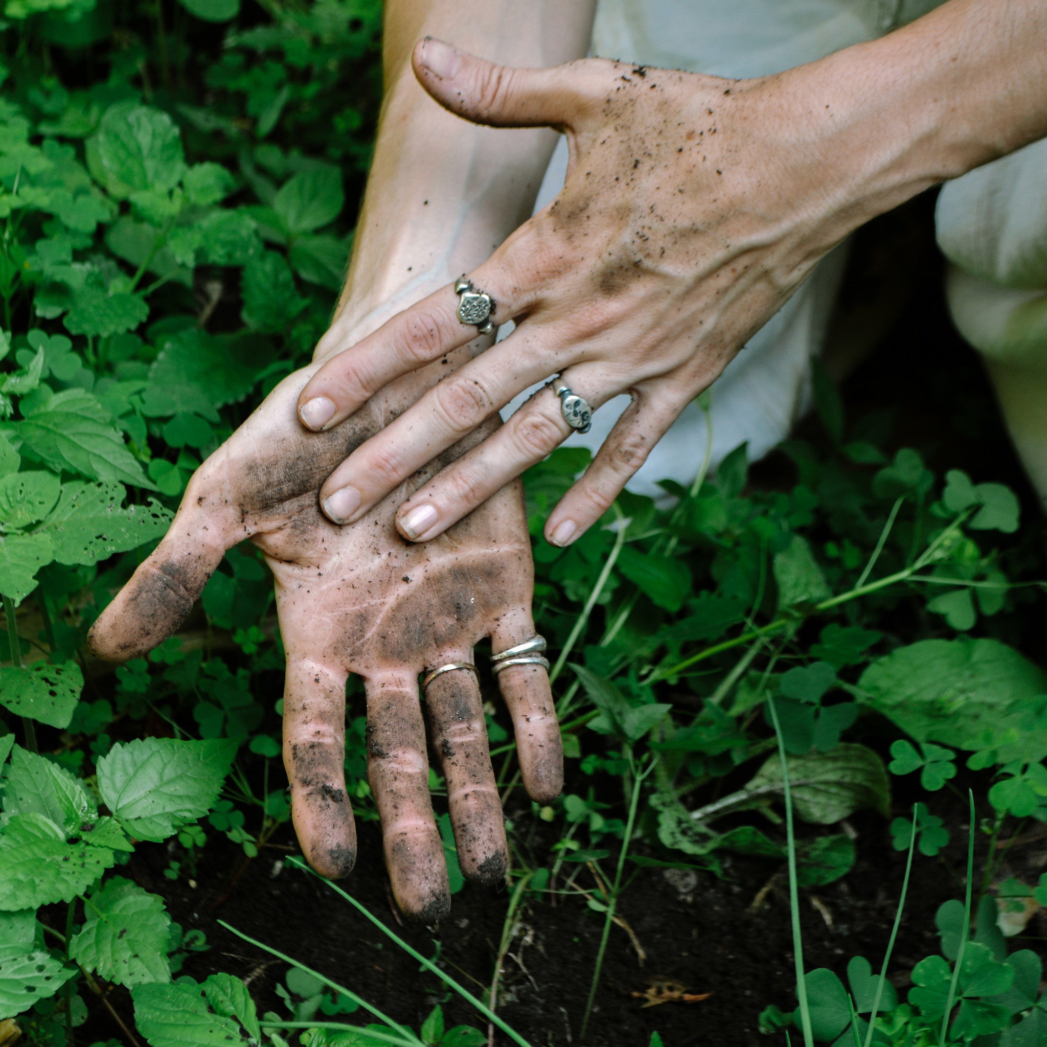 Red Clover Botanical Ring