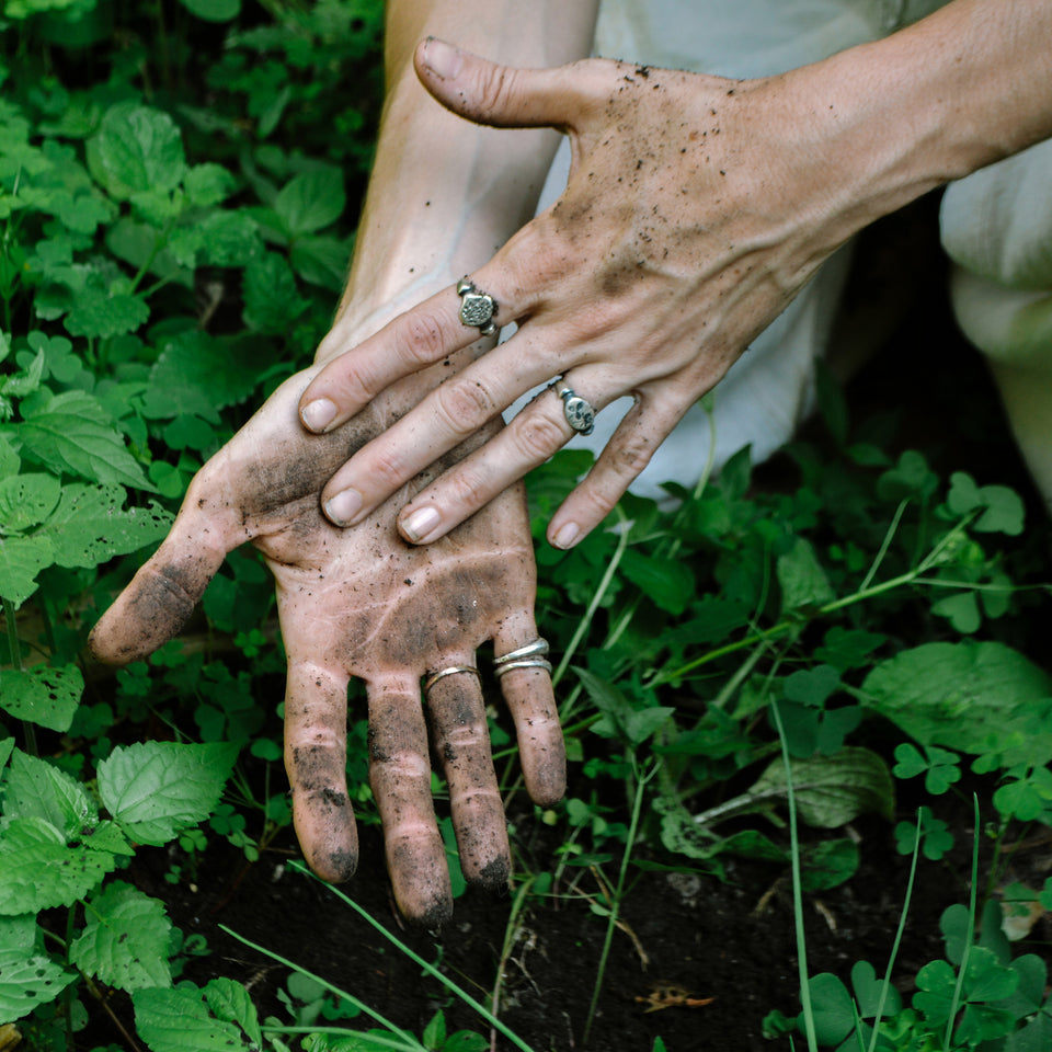 Chickweed Botanical Ring
