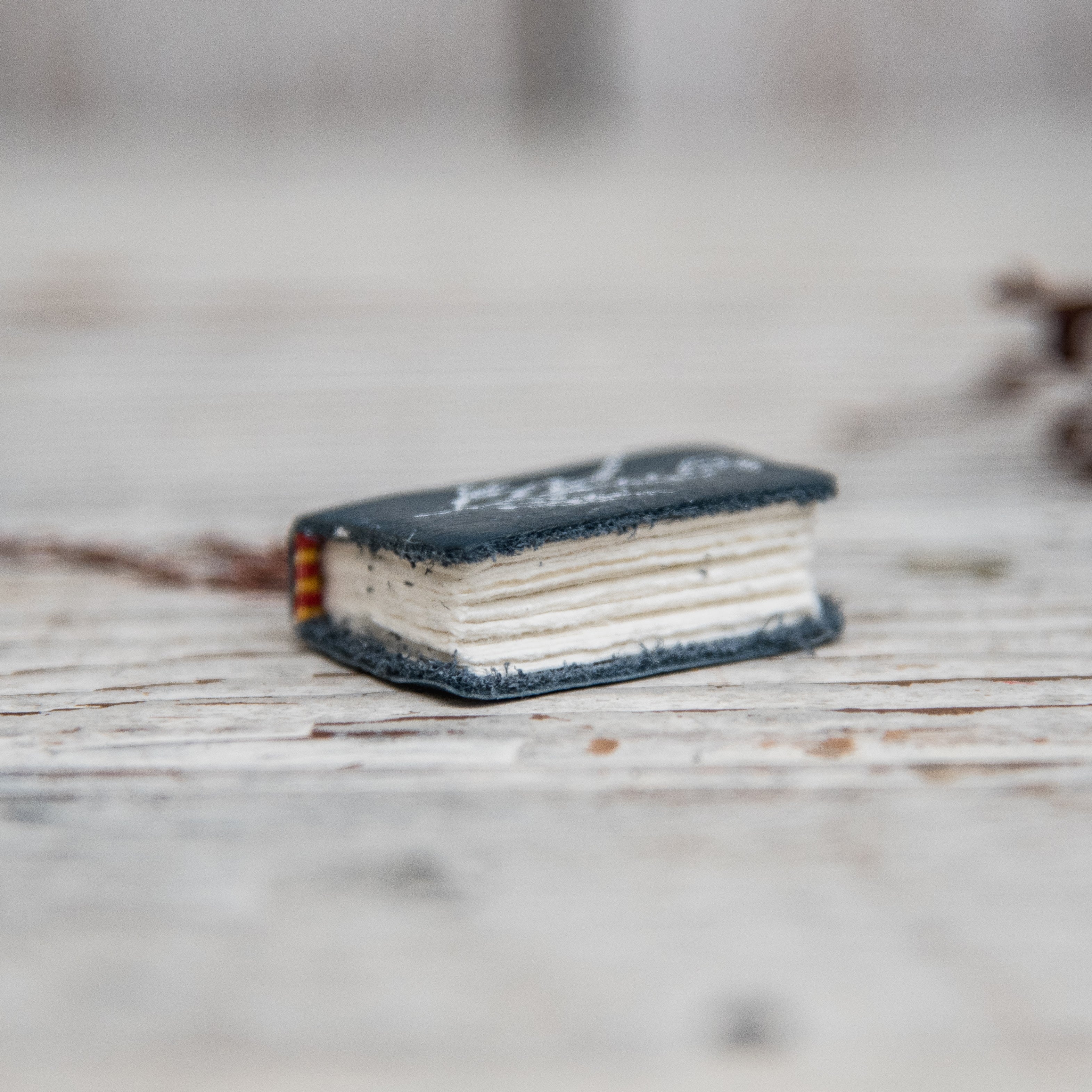 Anna Atkins Large Book Necklace: Cystoseira fibrosa