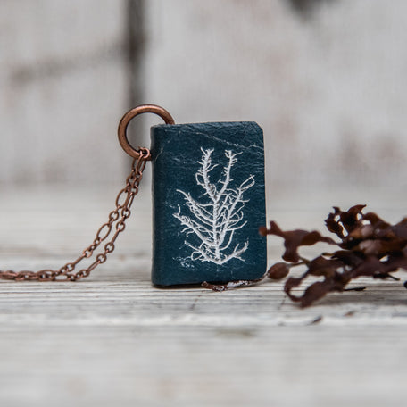 Anna Atkins Large Book Necklace: Mesogloia purpurea