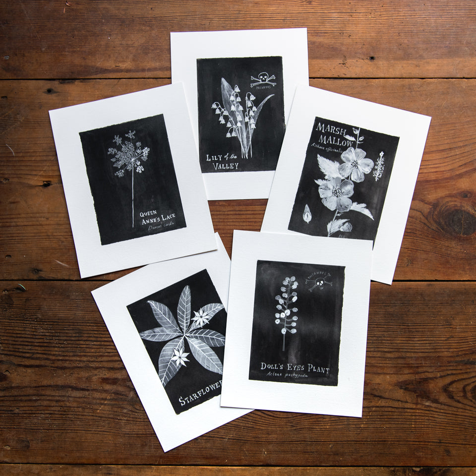 Botanical Art Print: Lily of the Valley