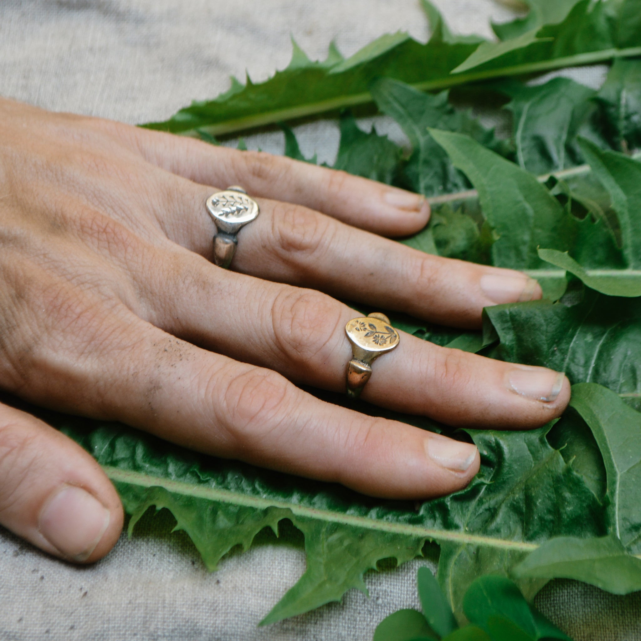 Chickweed Botanical Ring