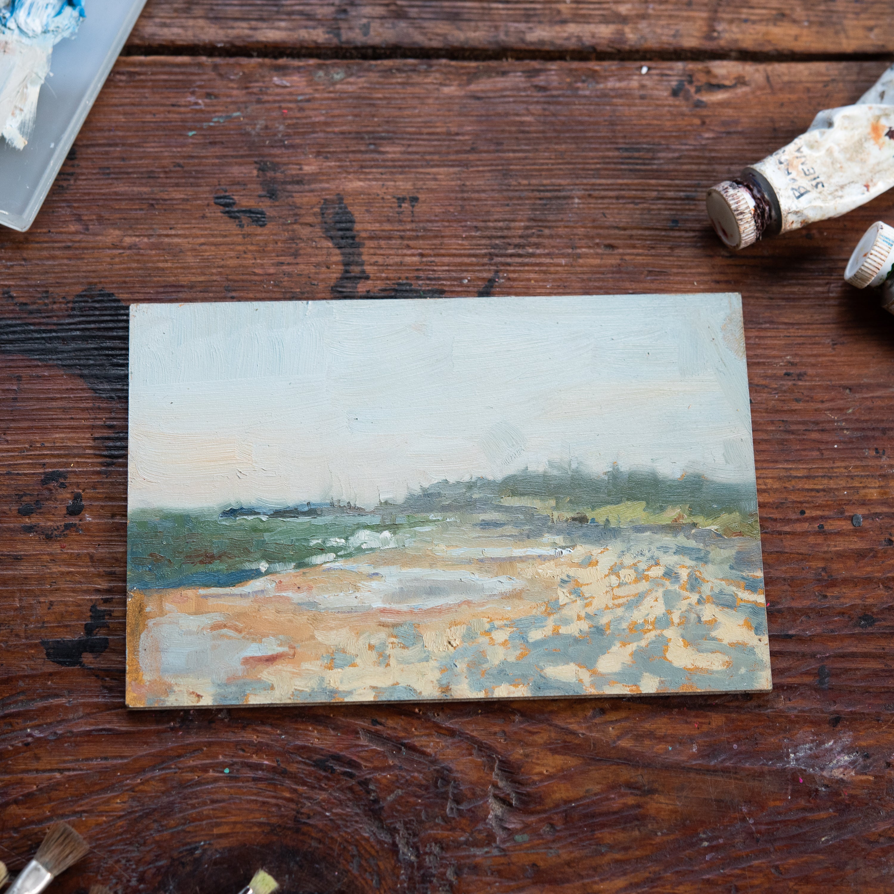 Original Plein Air Painting by Walter Kent: Cape Henlopen, 2020