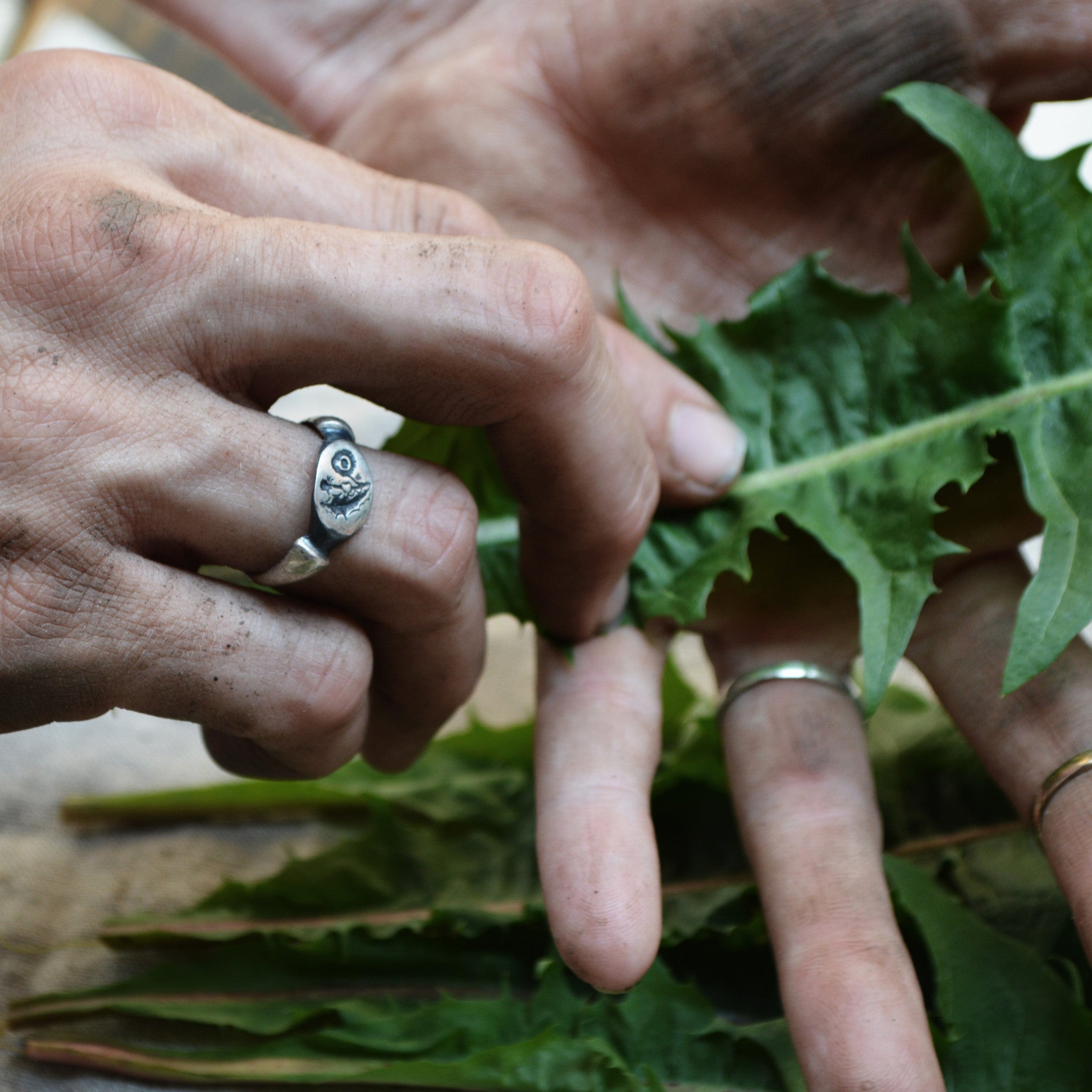 /color-Sterling Silver