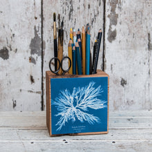 Anna Atkins Small Desk Caddy: Dictyota dichotoma