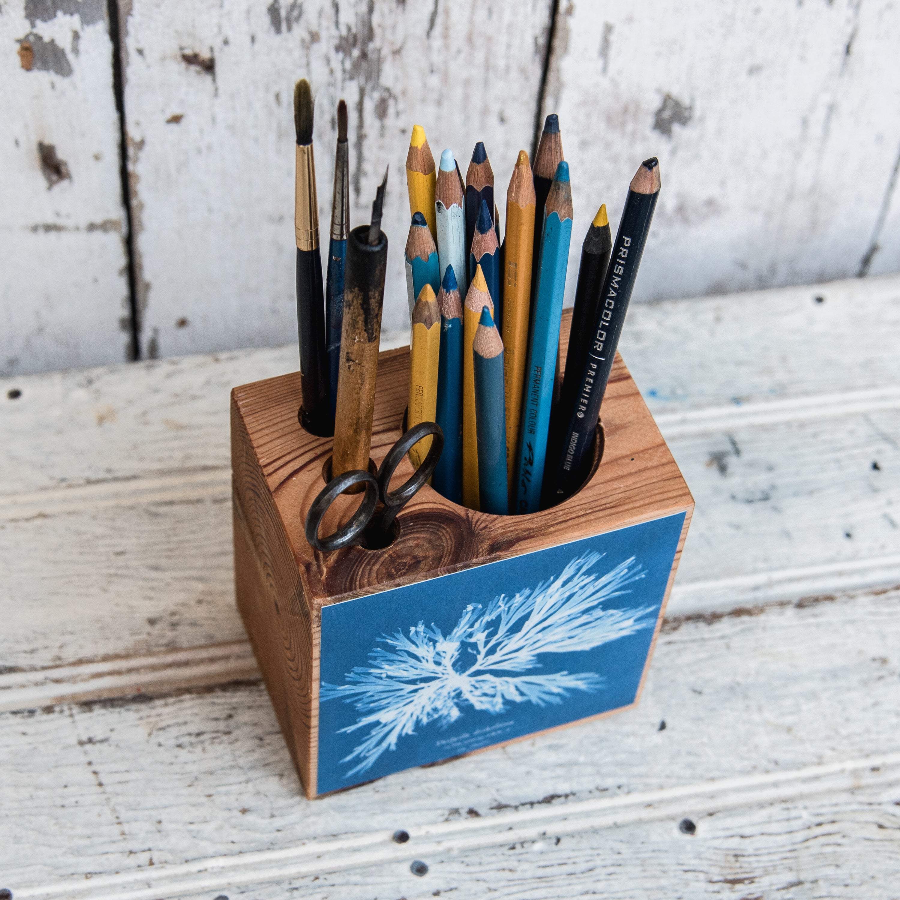 Anna Atkins Small Desk Caddy: Dictyota dichotoma