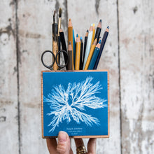 Anna Atkins Small Desk Caddy: Dictyota dichotoma