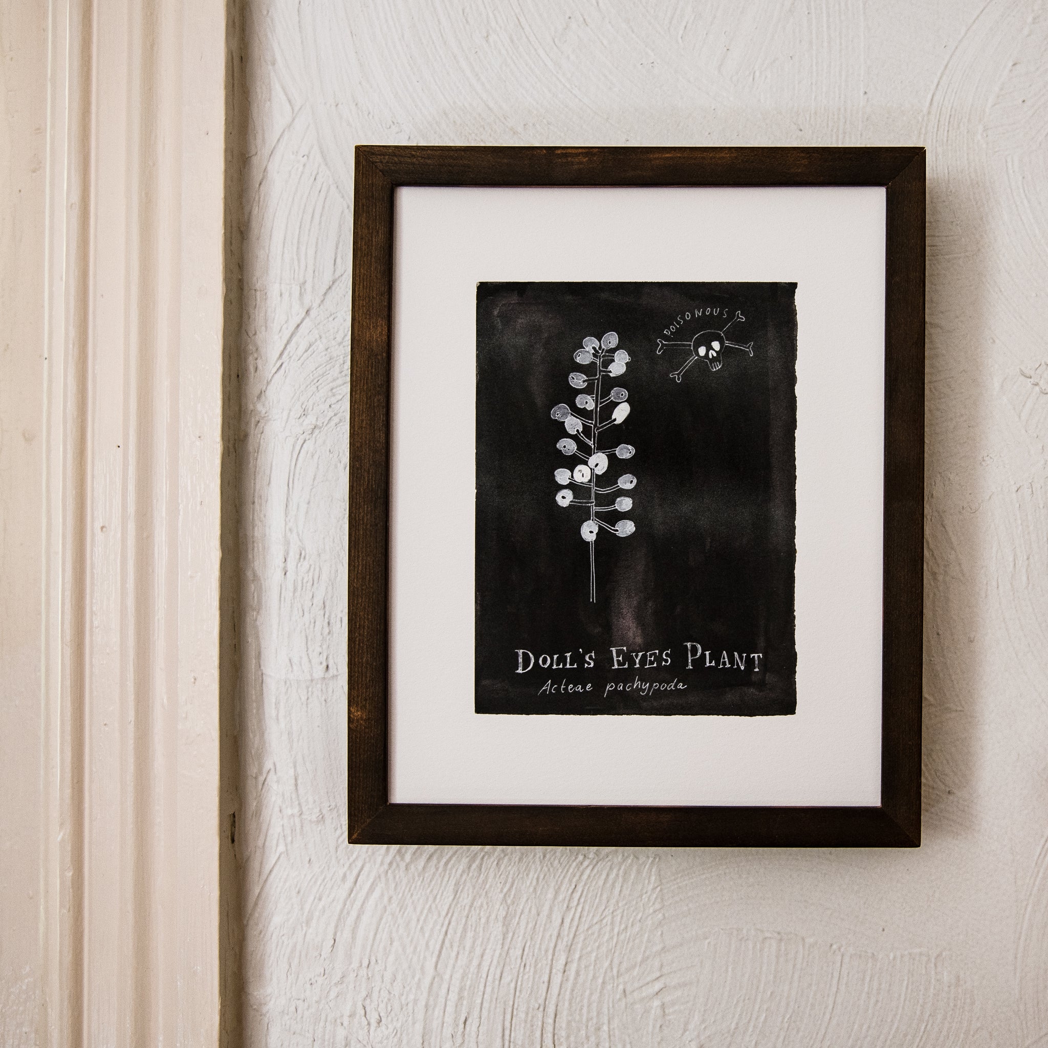 Botanical Art Print: Doll’s Eyes Plant