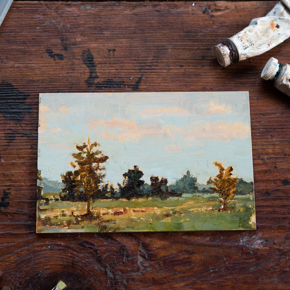 Original Plein Air Painting by Walter Kent: Exton Park No. 1, 2020