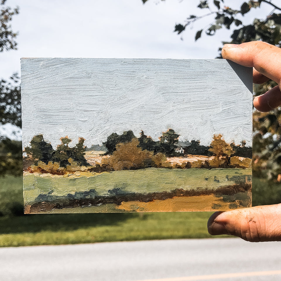 Original Plein Air Painting by Walter Kent: Exton Park No. 2, 2020