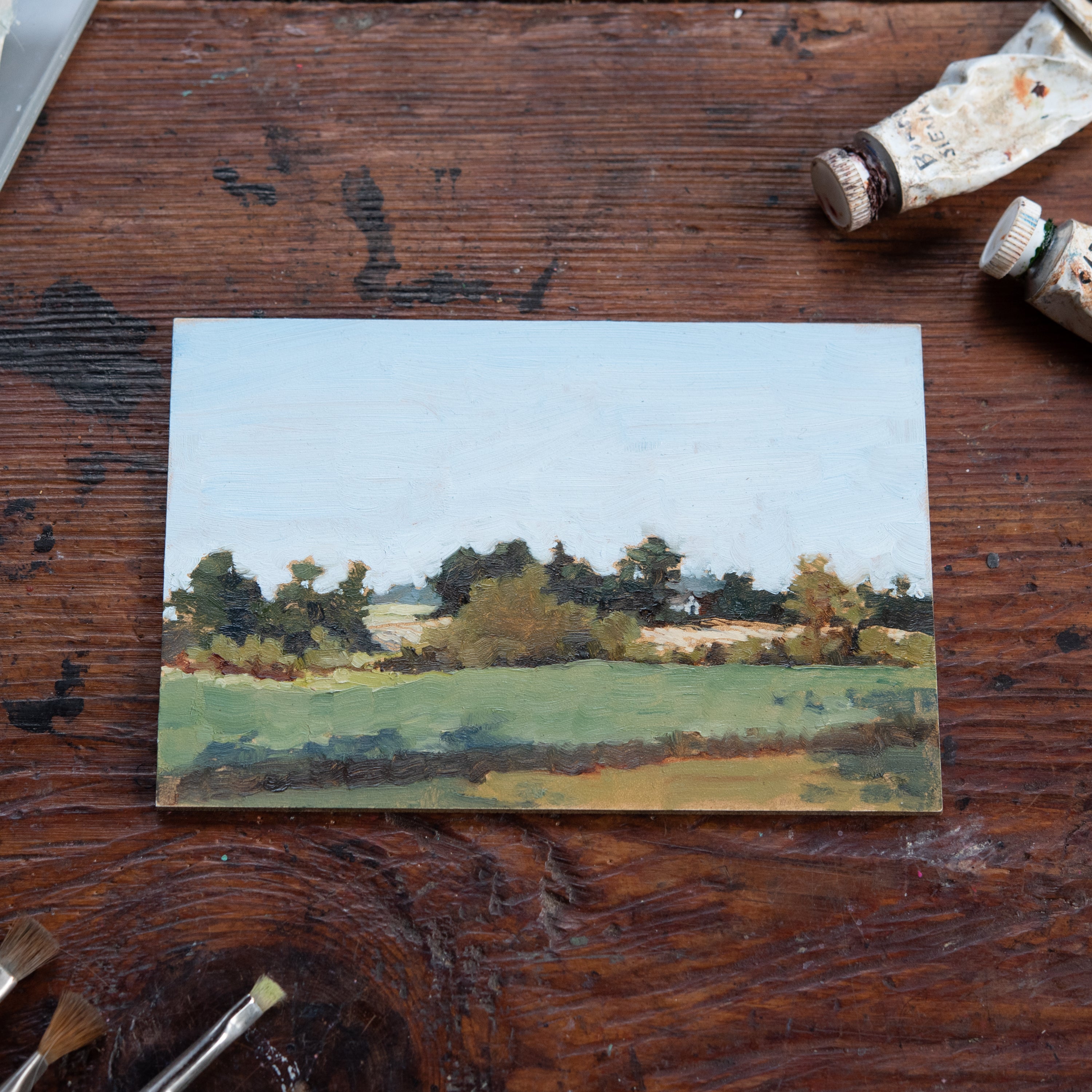 Original Plein Air Painting by Walter Kent: Exton Park No. 2, 2020