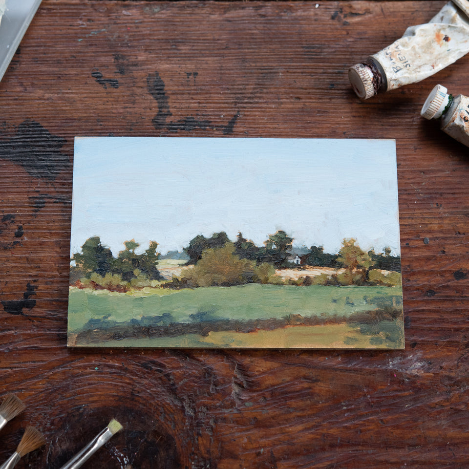 Original Plein Air Painting by Walter Kent: Exton Park No. 2, 2020