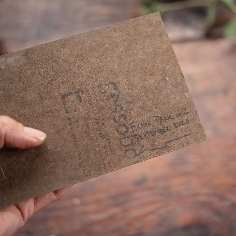 Original Plein Air Painting by Walter Kent: Exton Park No. 2, 2020