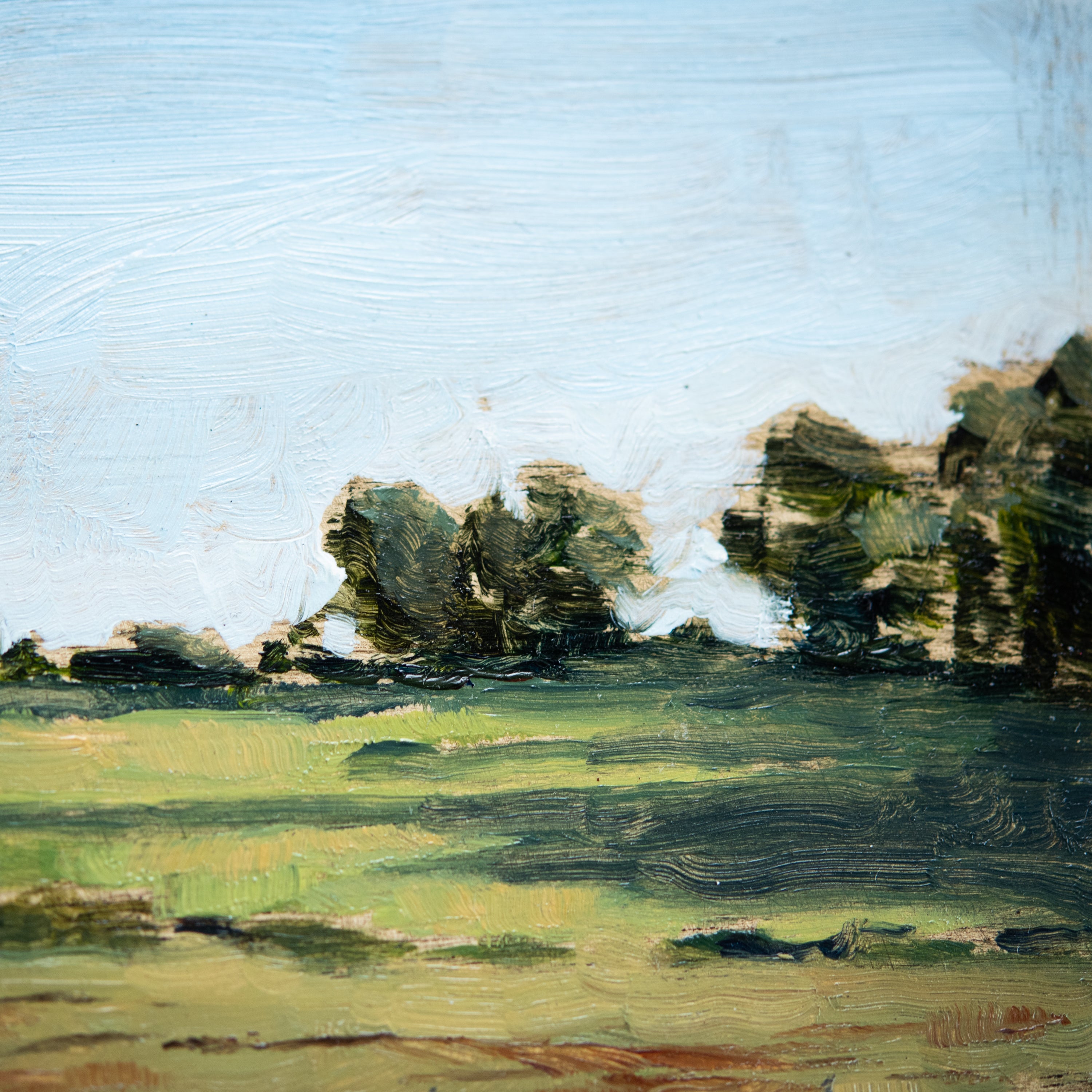 Original Plein Air Painting by Walter Kent: Indiana Dunes, 2020