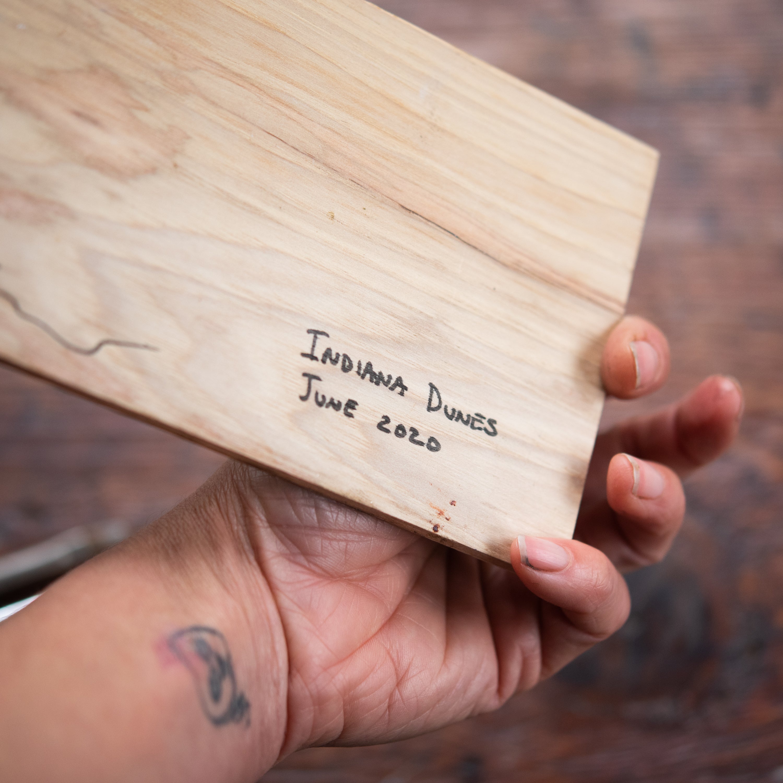 Original Plein Air Painting by Walter Kent: Indiana Dunes, 2020