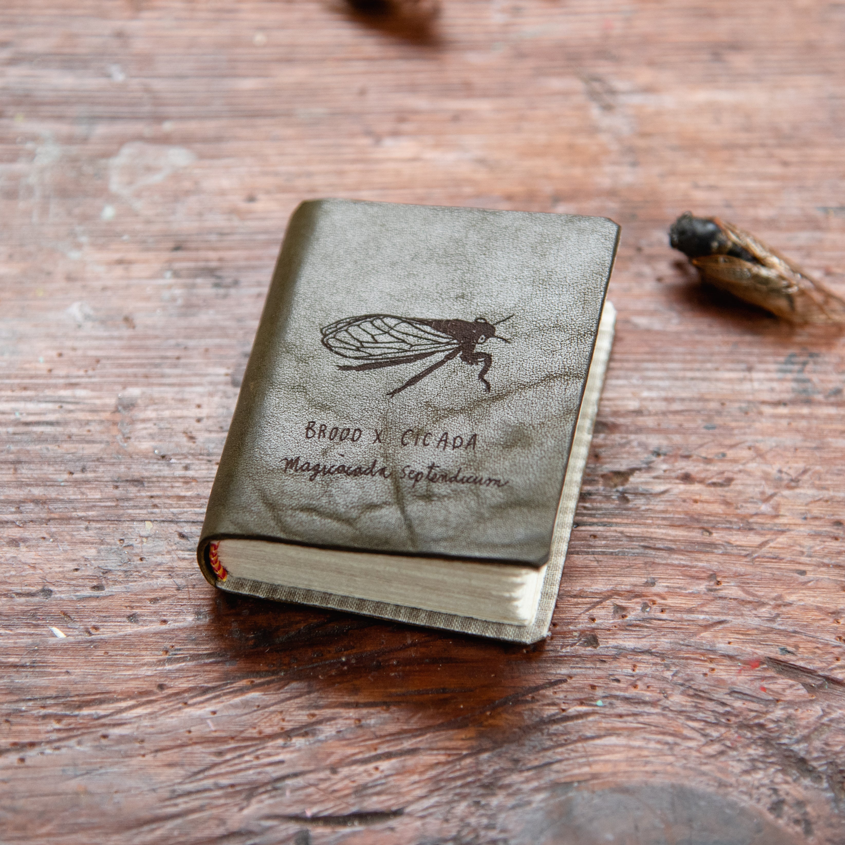 The Carson Journal (Green)