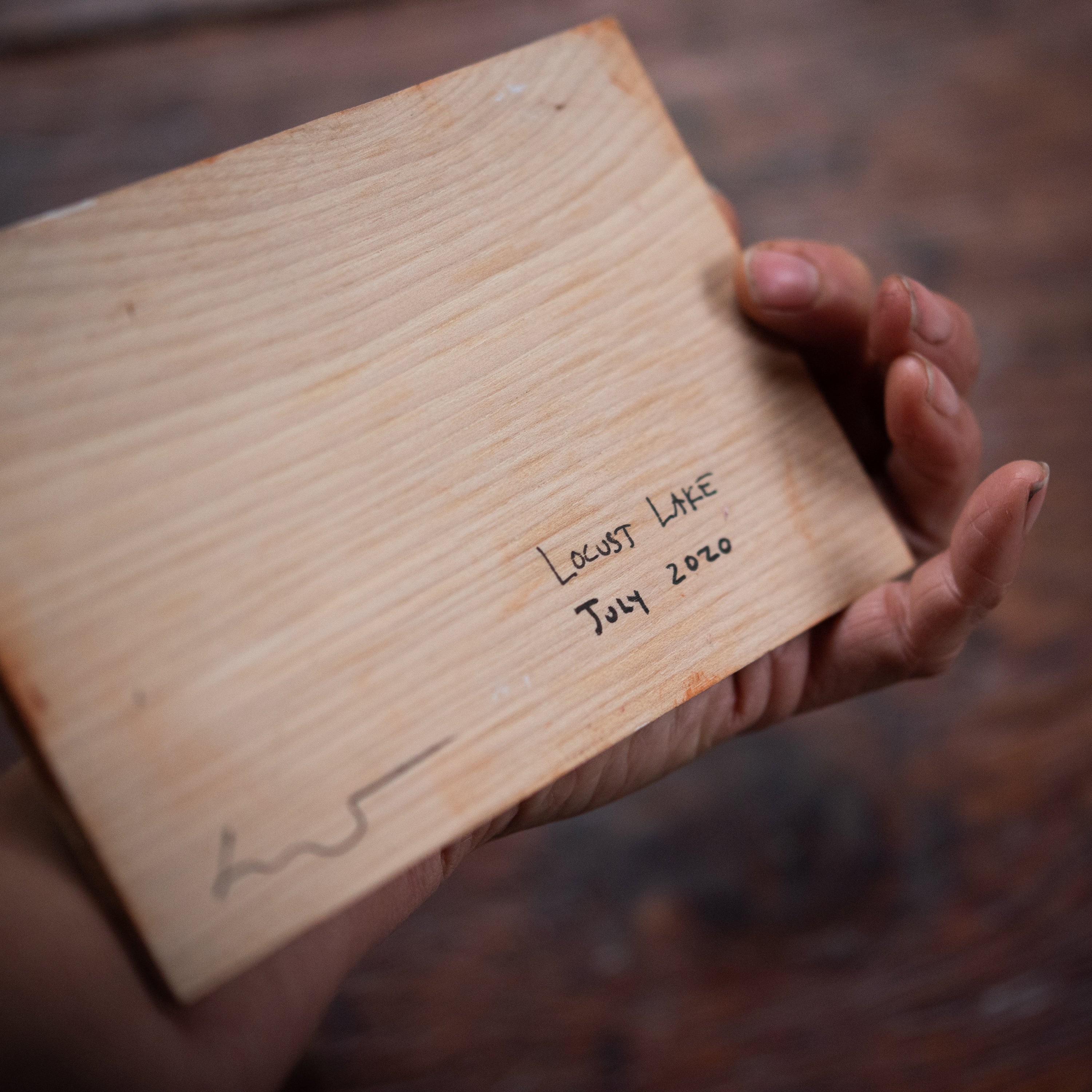 Original Plein Air Painting by Walter Kent: Locust Lake, 2020