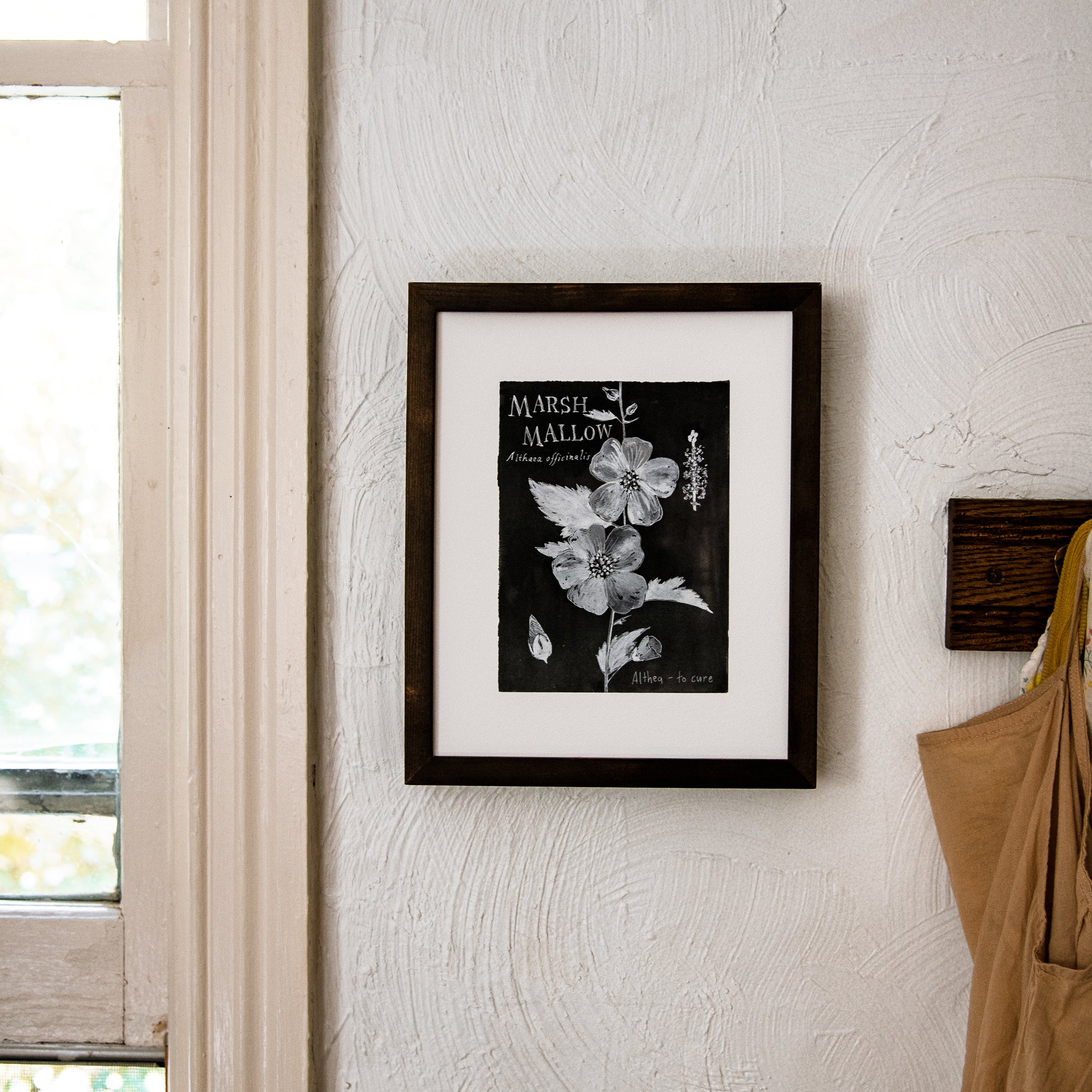 Botanical Art Print: Marshmallow