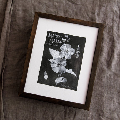 Botanical Art Print: Marshmallow