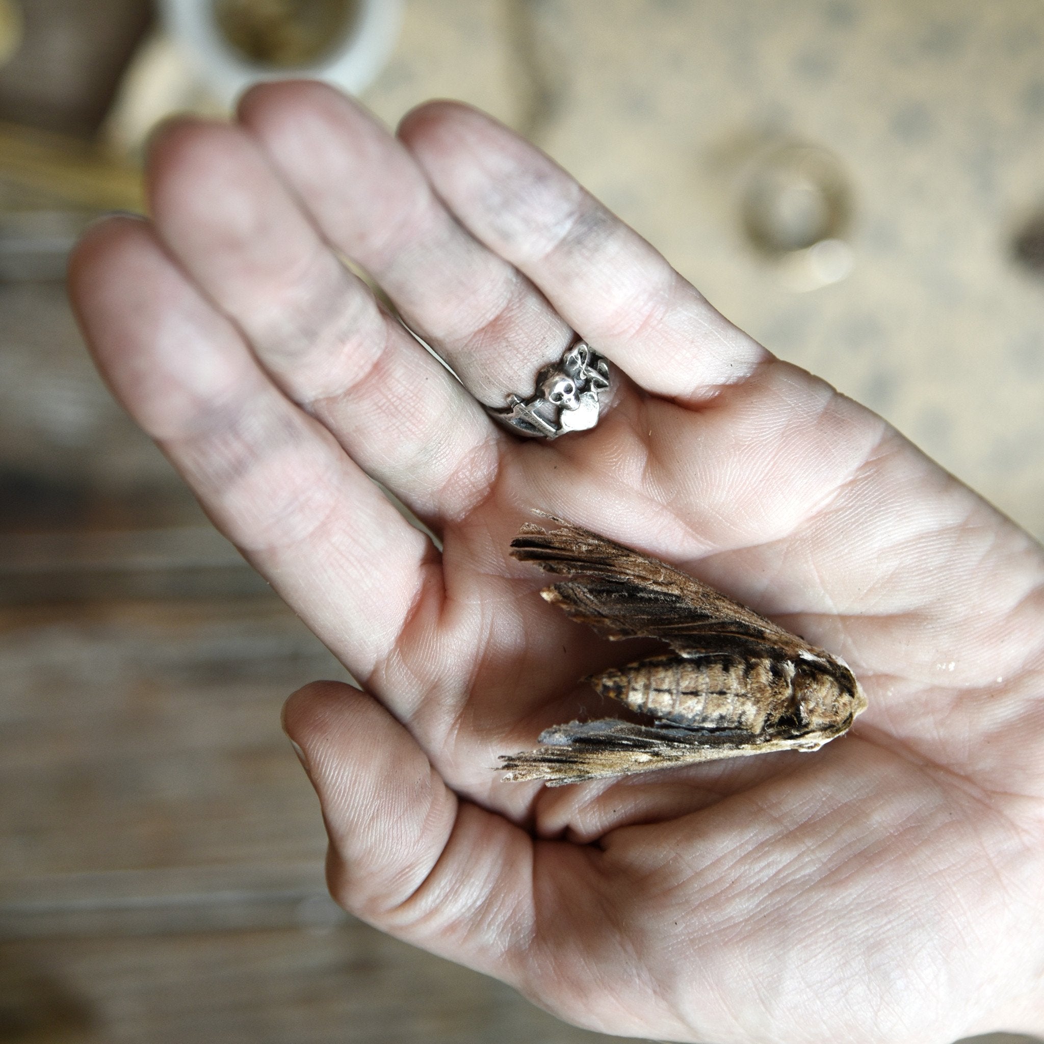 /color-Sterling Silver