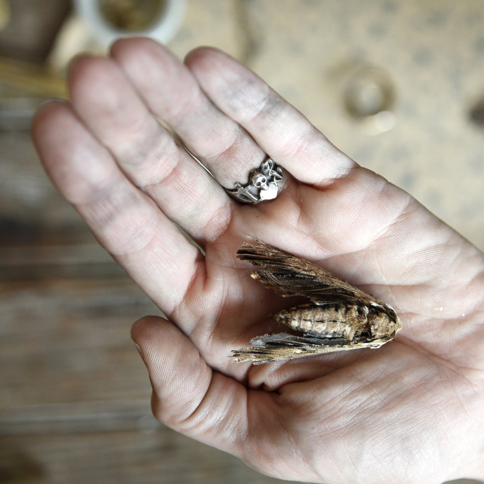 /color-Sterling Silver