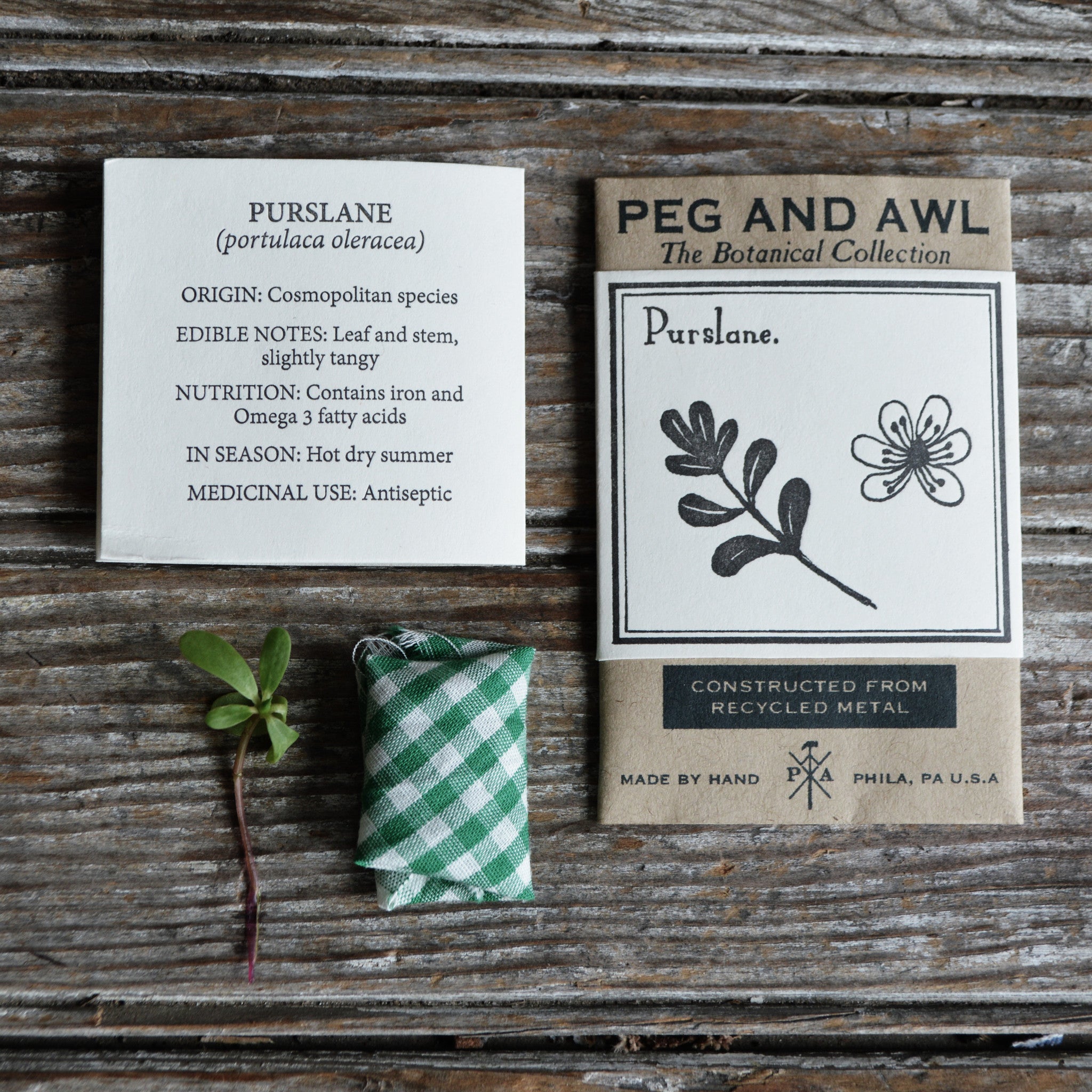 Purslane Botanical Necklace