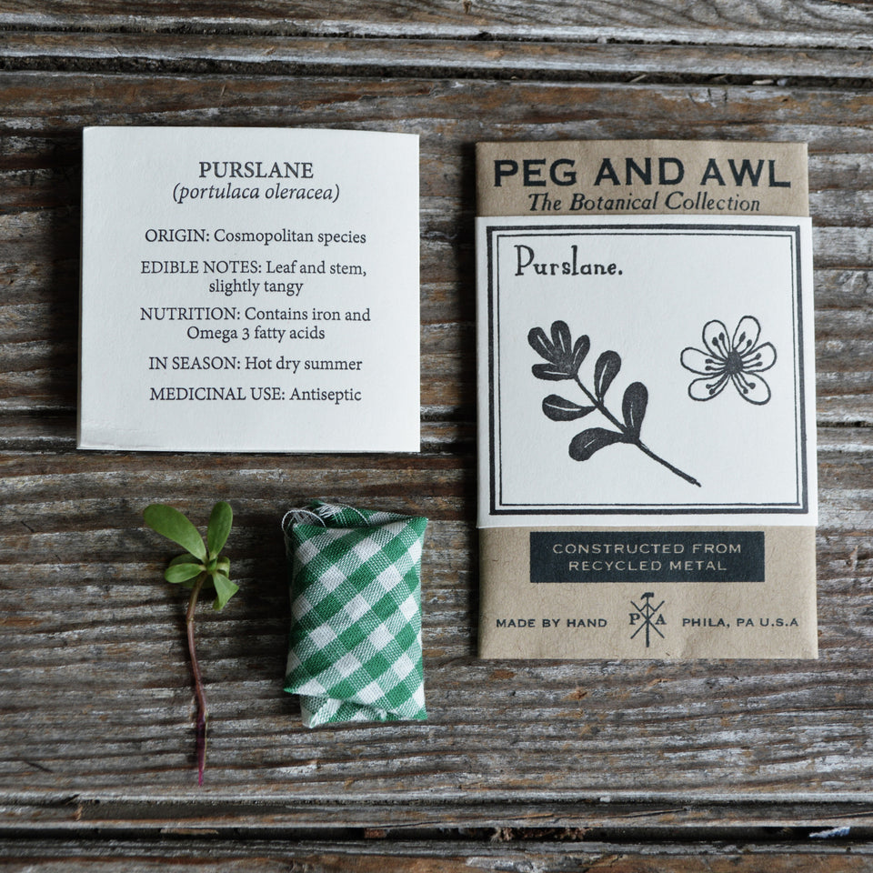 Purslane Botanical Necklace