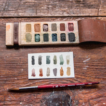 Iris Painter’s Palette