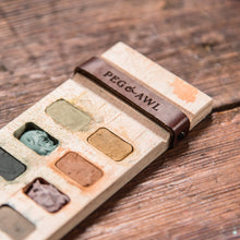 Iris Painter’s Palette