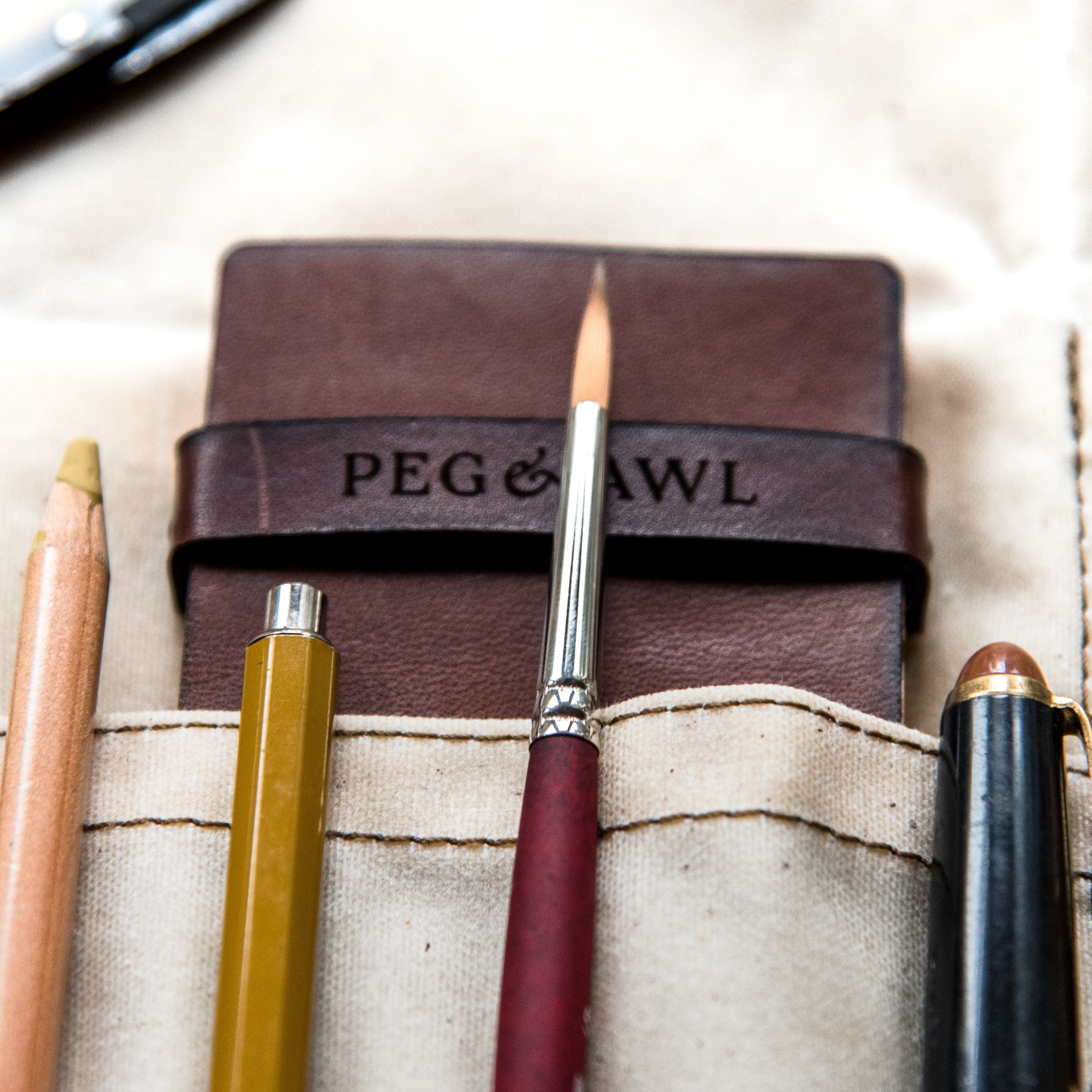 Iris Painter’s Palette