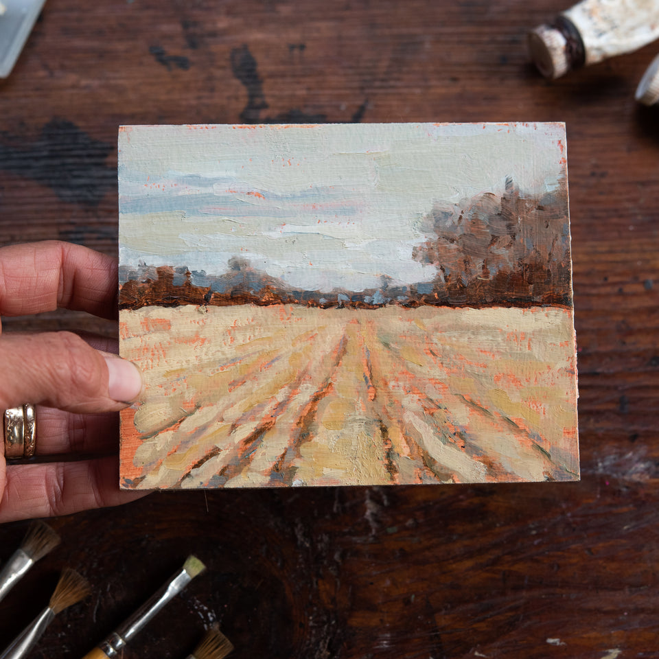 Original Plein Air Painting by Walter Kent: Petrified Wood Cornfield, 2019