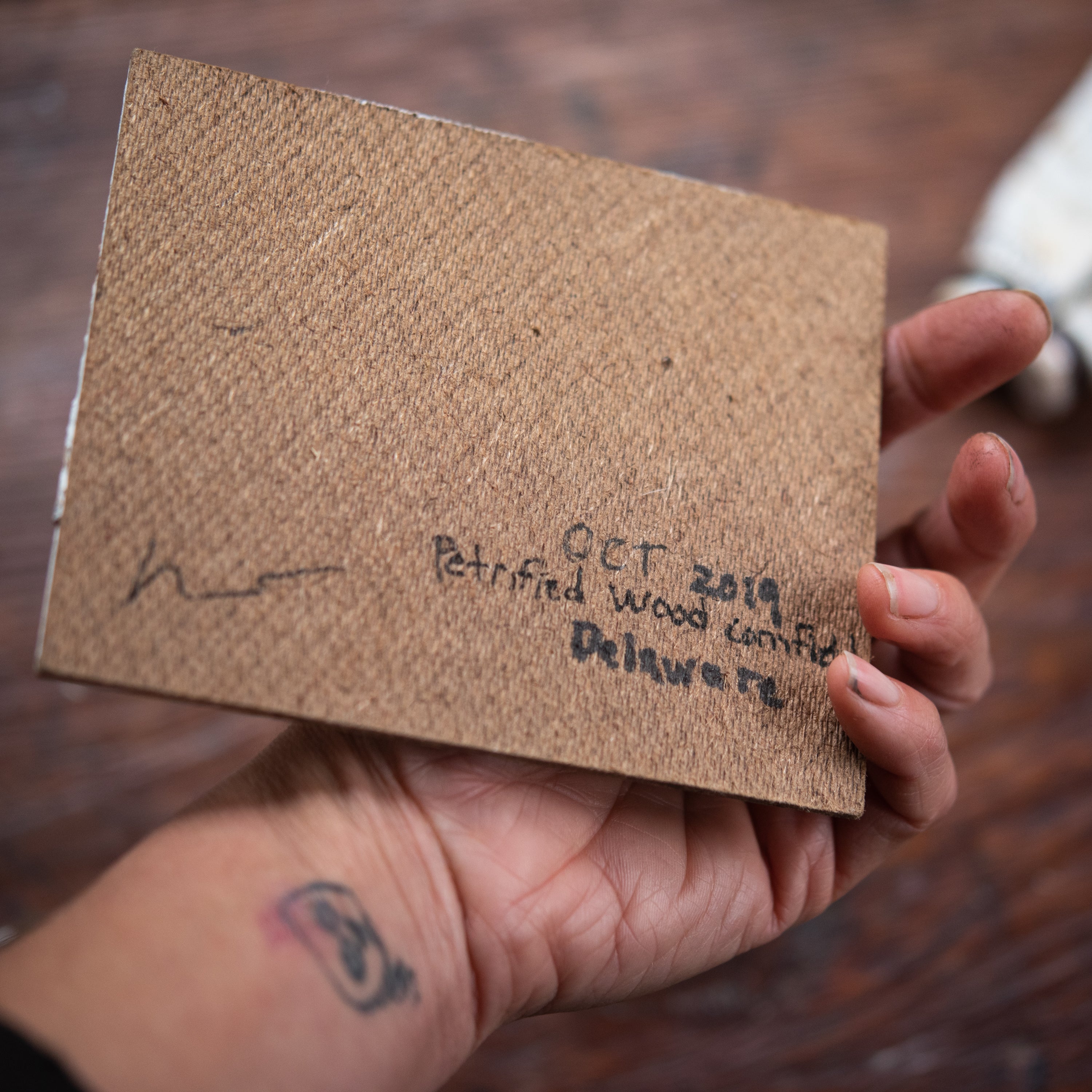 Original Plein Air Painting by Walter Kent: Petrified Wood Cornfield, 2019