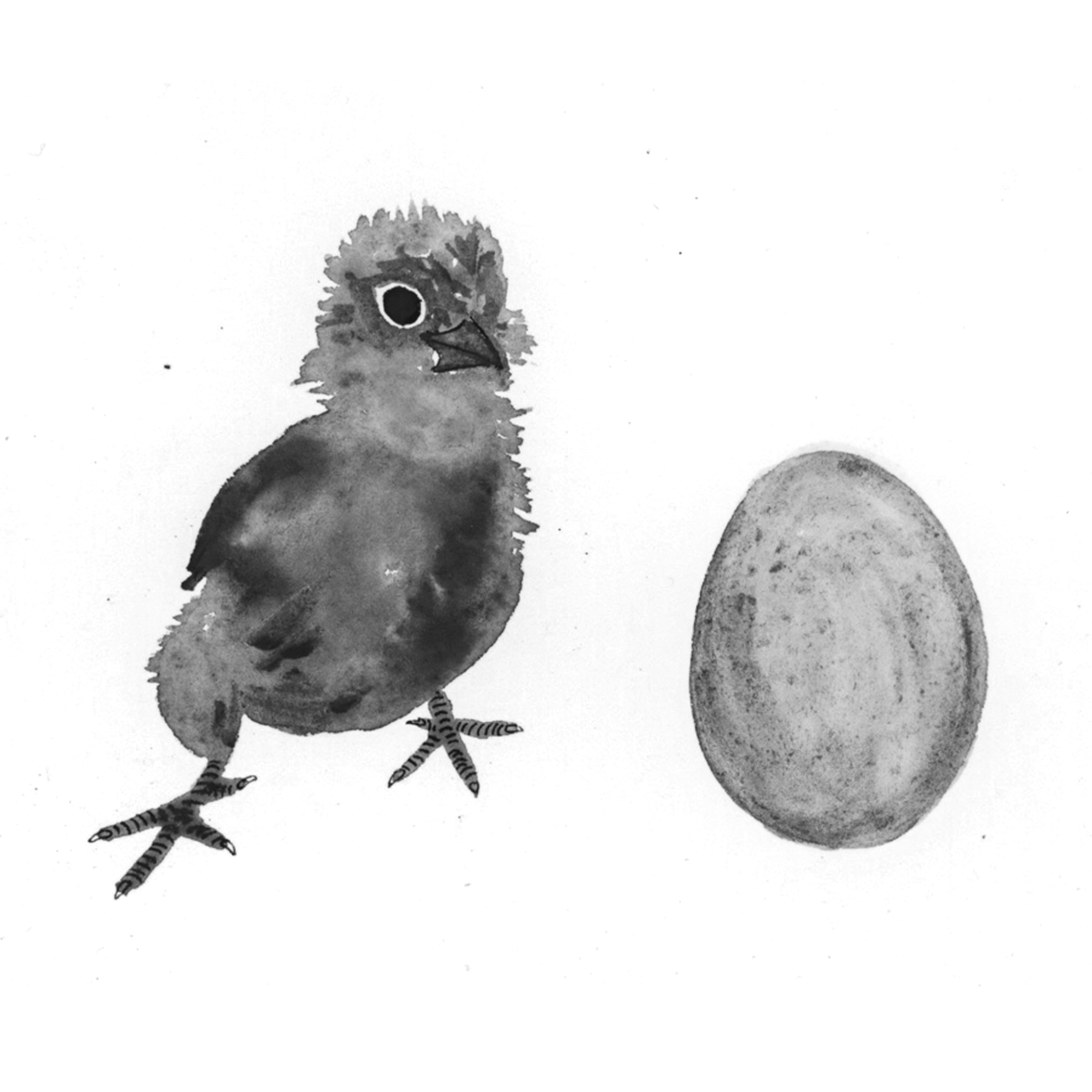 Poison for Breakfast Chicken and Egg Earrings