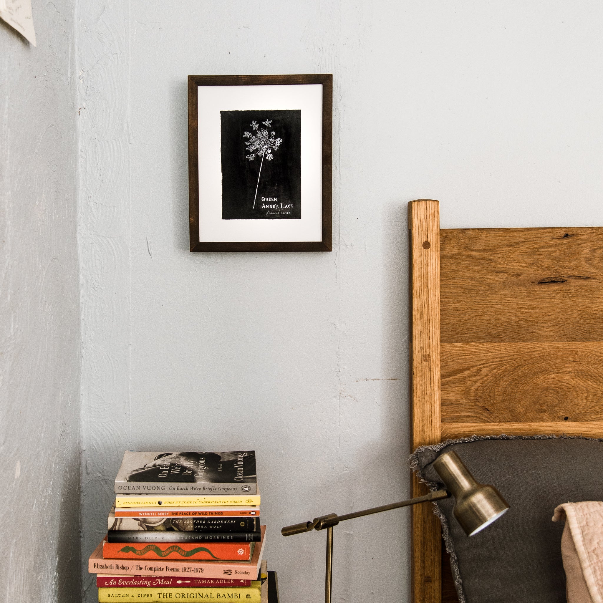 Botanical Art Print: Queen Anne’s Lace