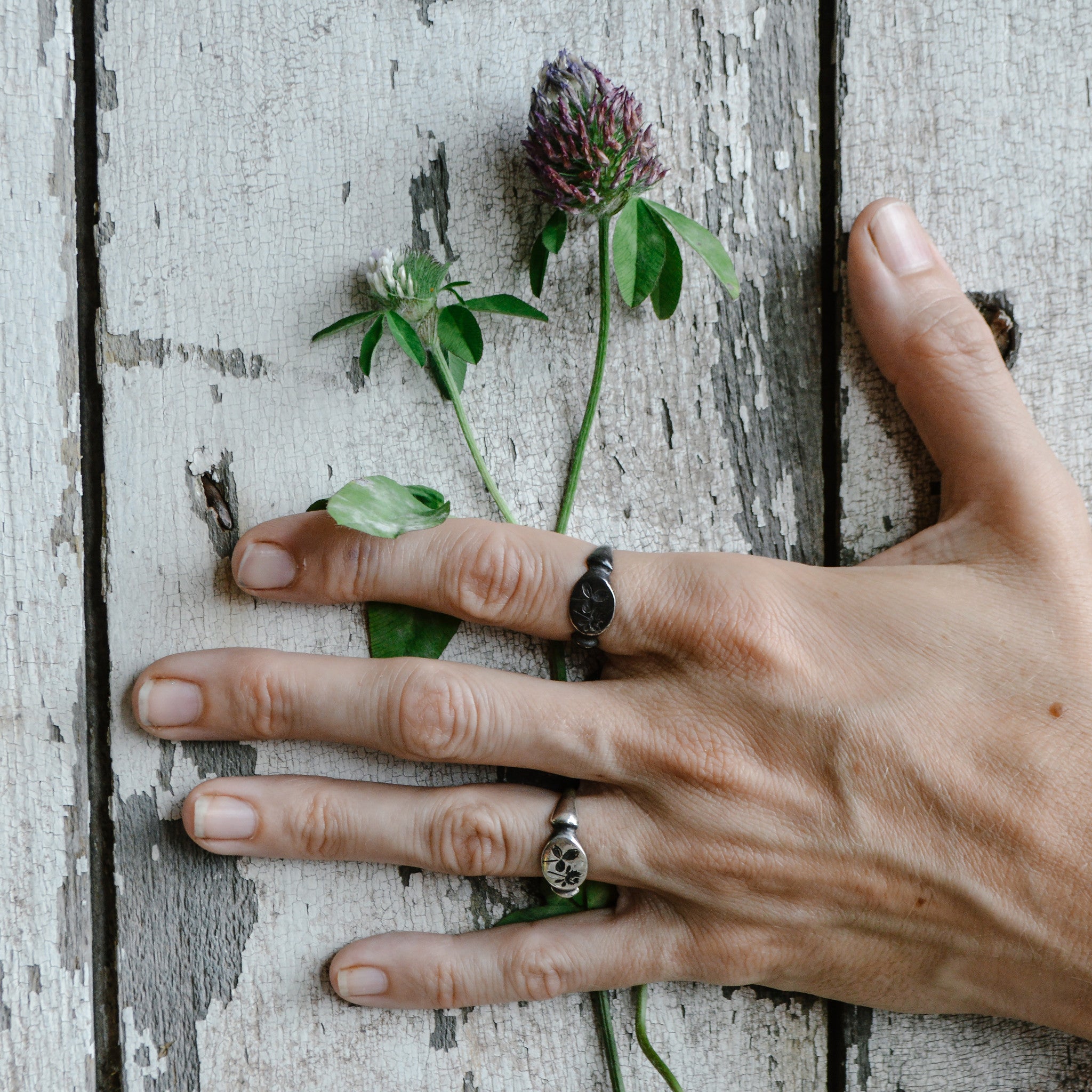 Red Clover Botanical Ring