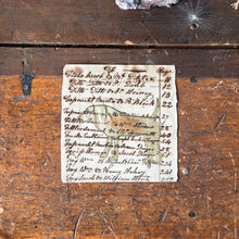 Foundlings Original Art: Sequoia