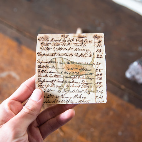 Foundlings Original Art: Sequoia