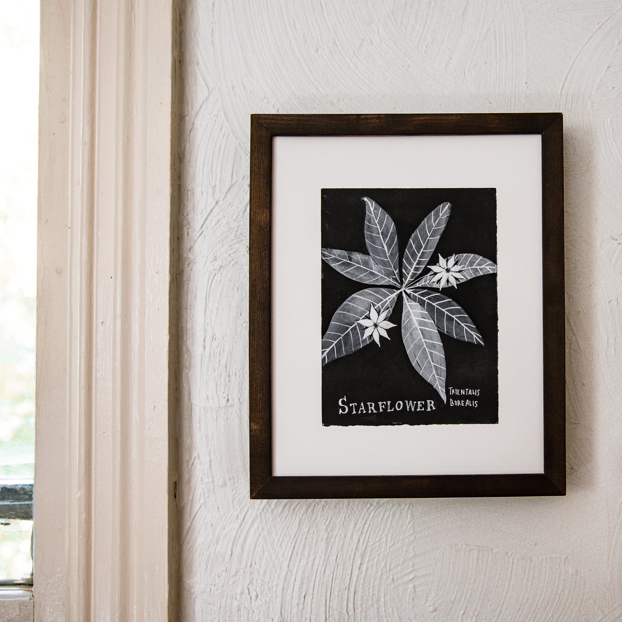 Botanical Art Print: Starflower