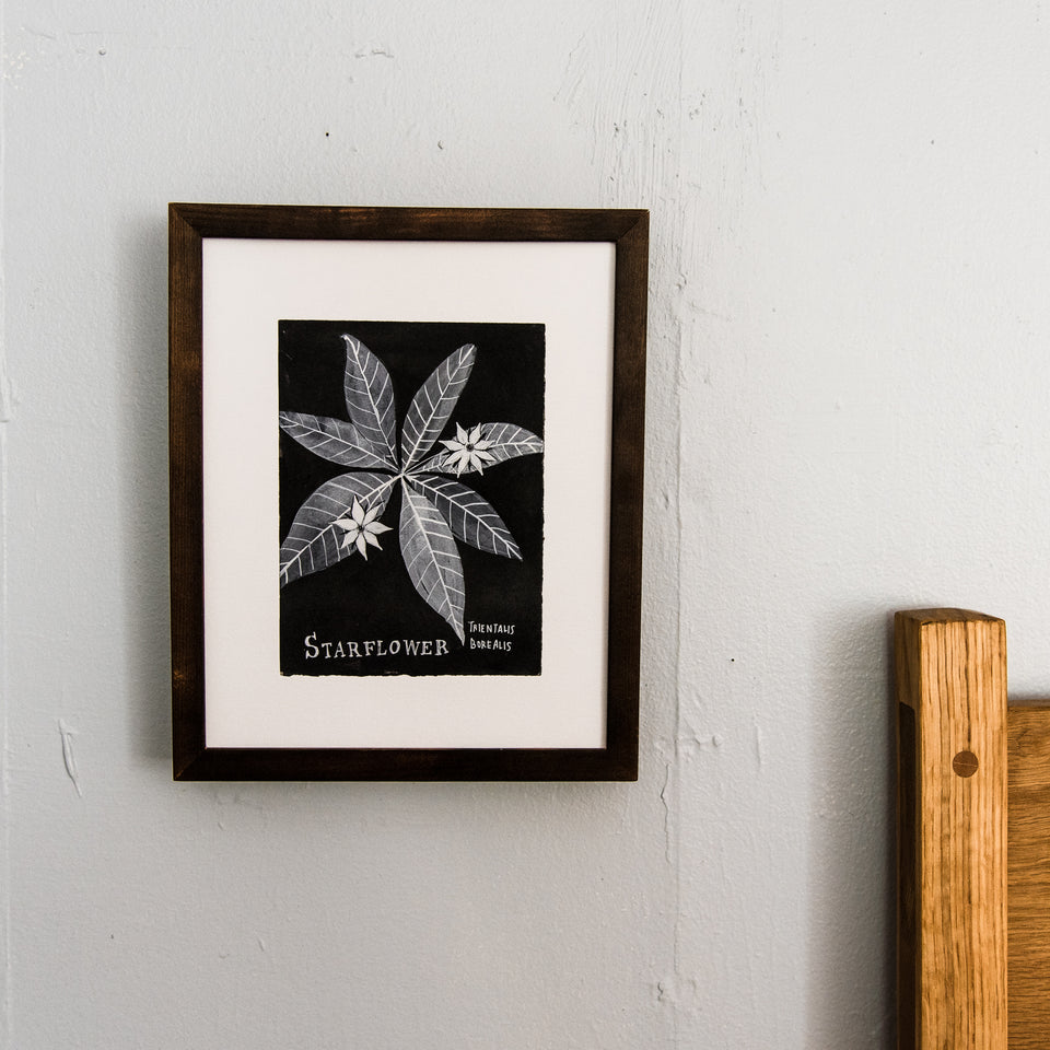 Botanical Art Print: Starflower