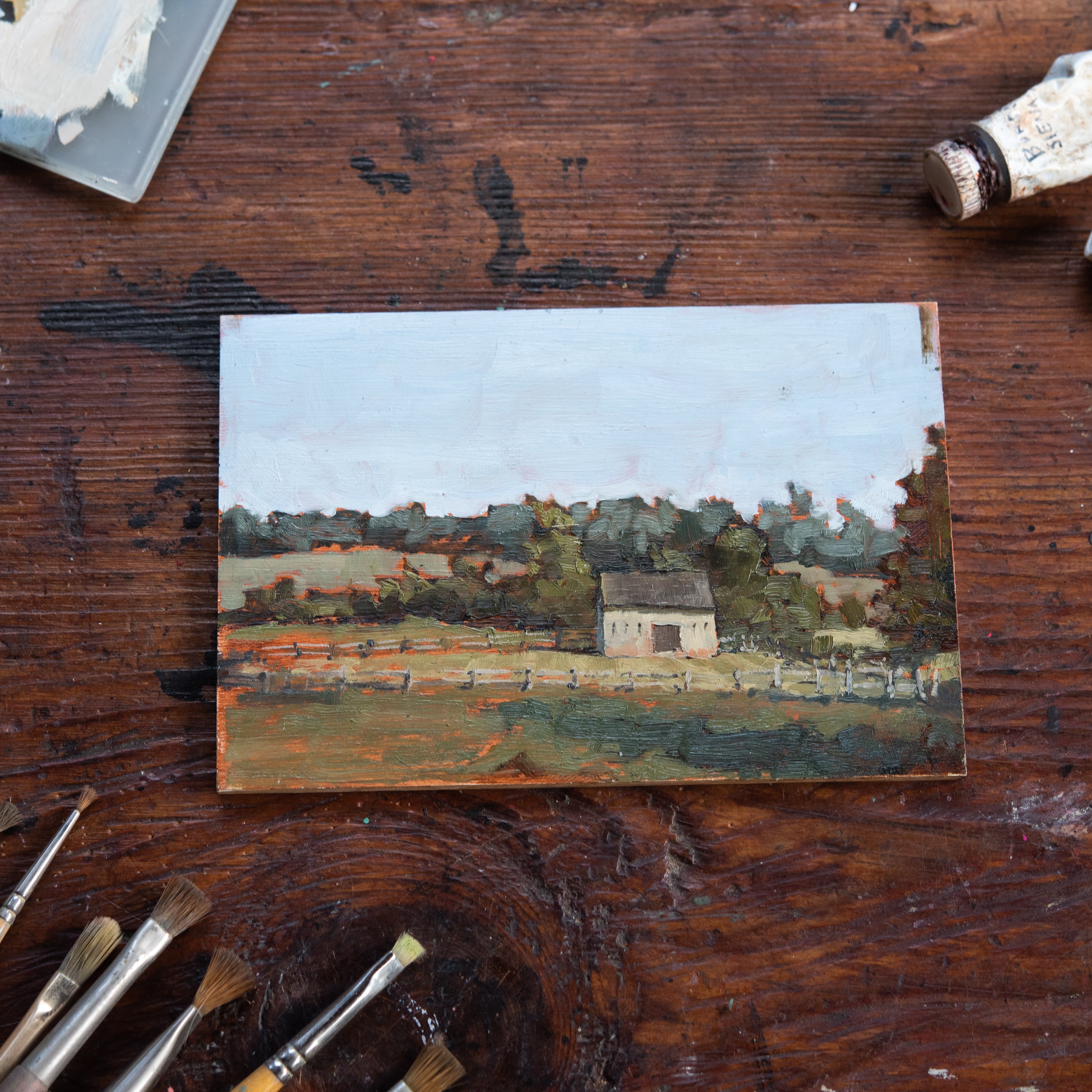 Original Plein Air Painting by Walter Kent: Stroud Preserve, 2020
