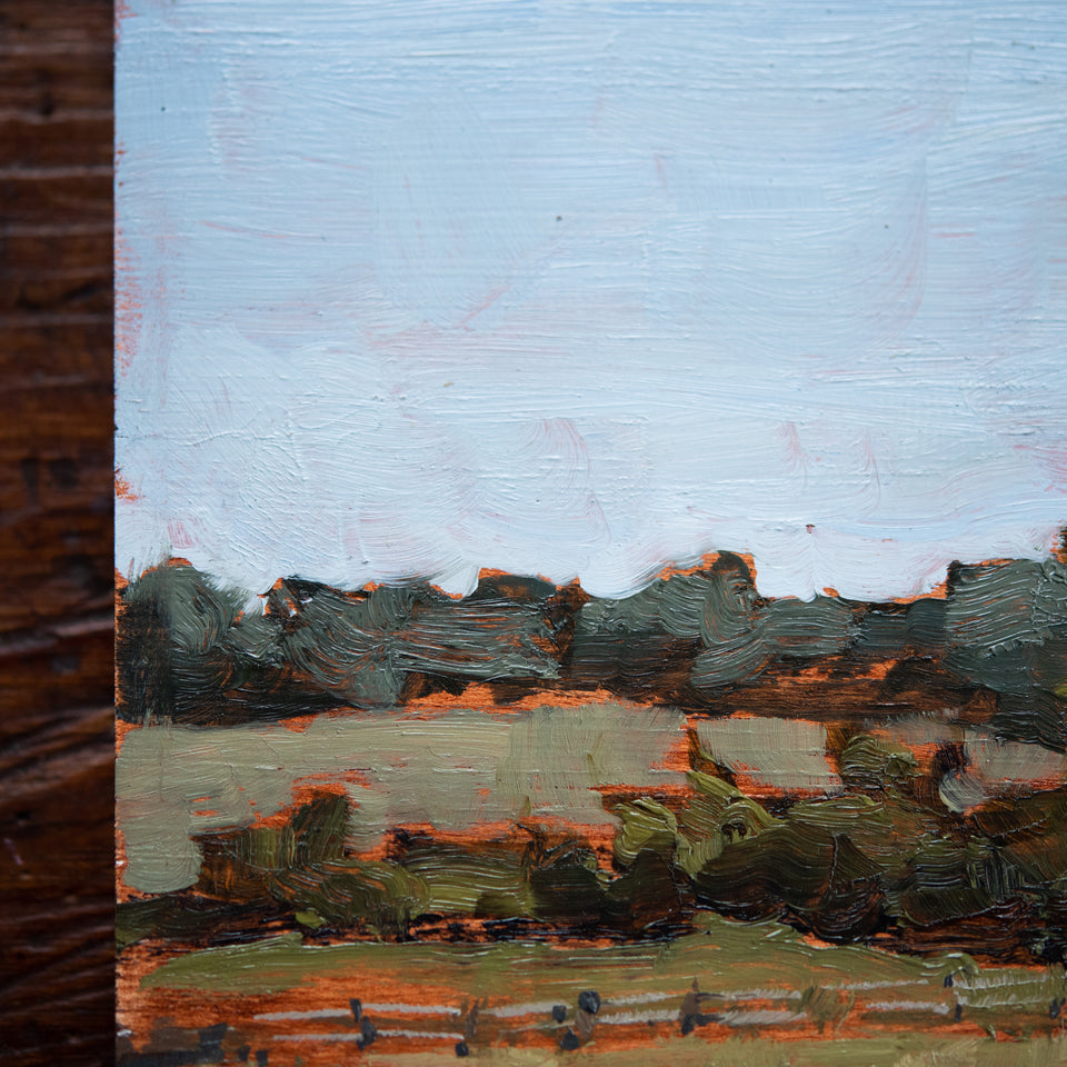 Original Plein Air Painting by Walter Kent: Stroud Preserve, 2020