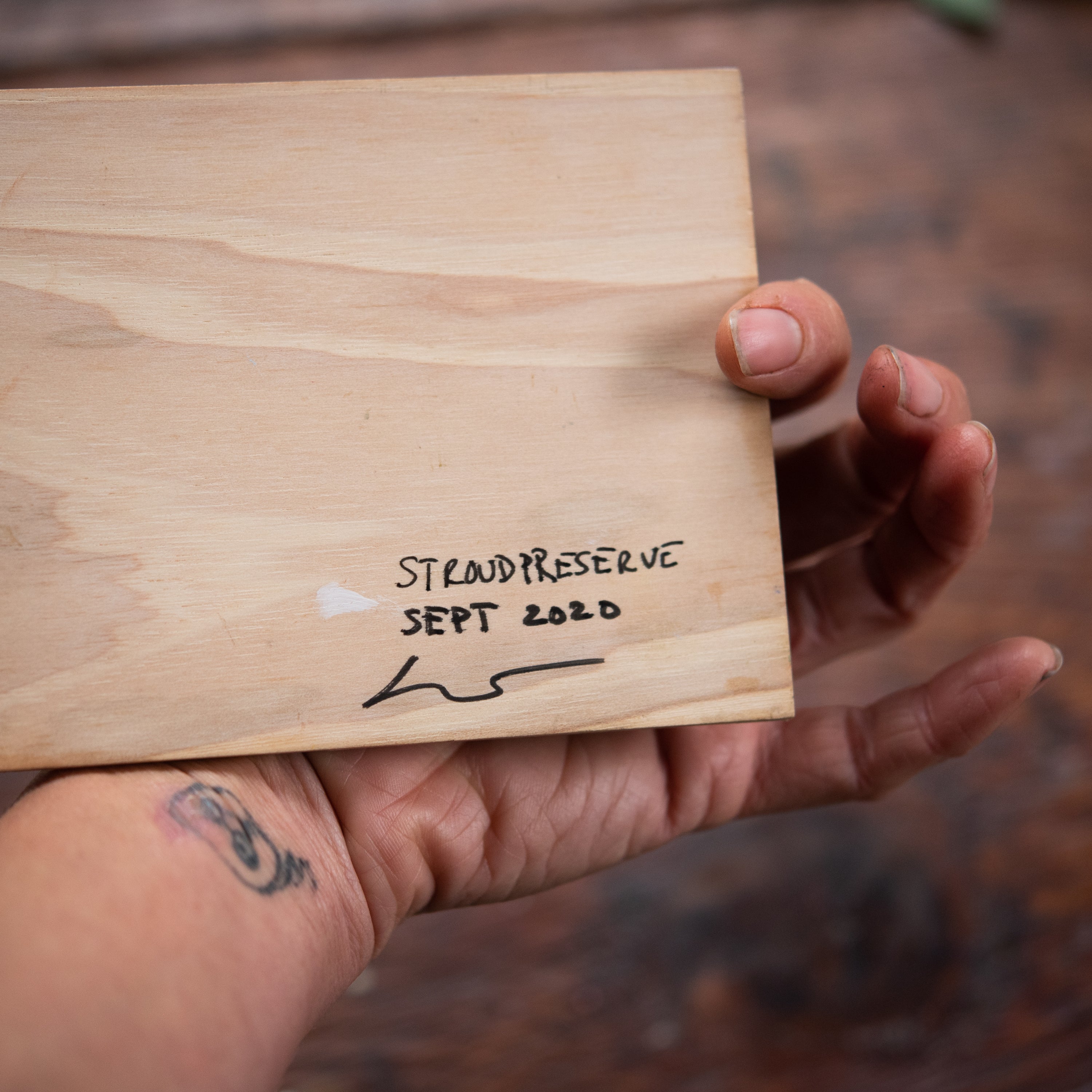 Original Plein Air Painting by Walter Kent: Stroud Preserve, 2020