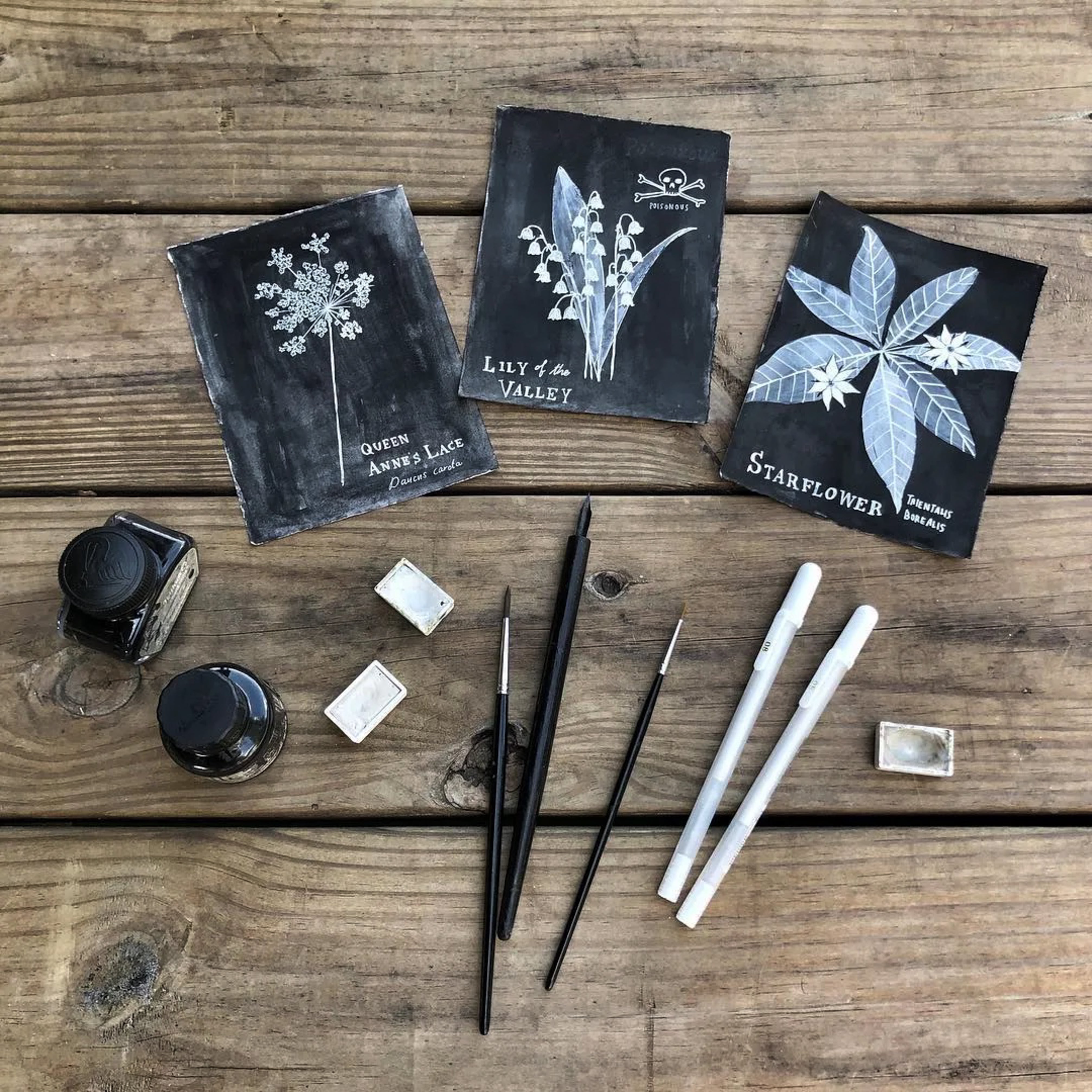 Botanical Art Print: Queen Anne’s Lace