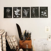 Botanical Art Print: Lily of the Valley